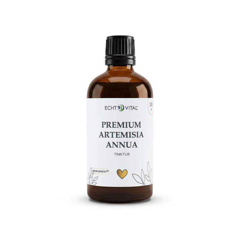Premium Artemisia annua (Einjähriger Beifuß) Tinktur
