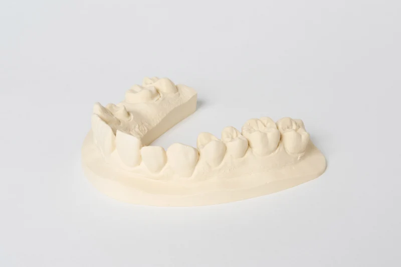 Dentona Uni Base 300
