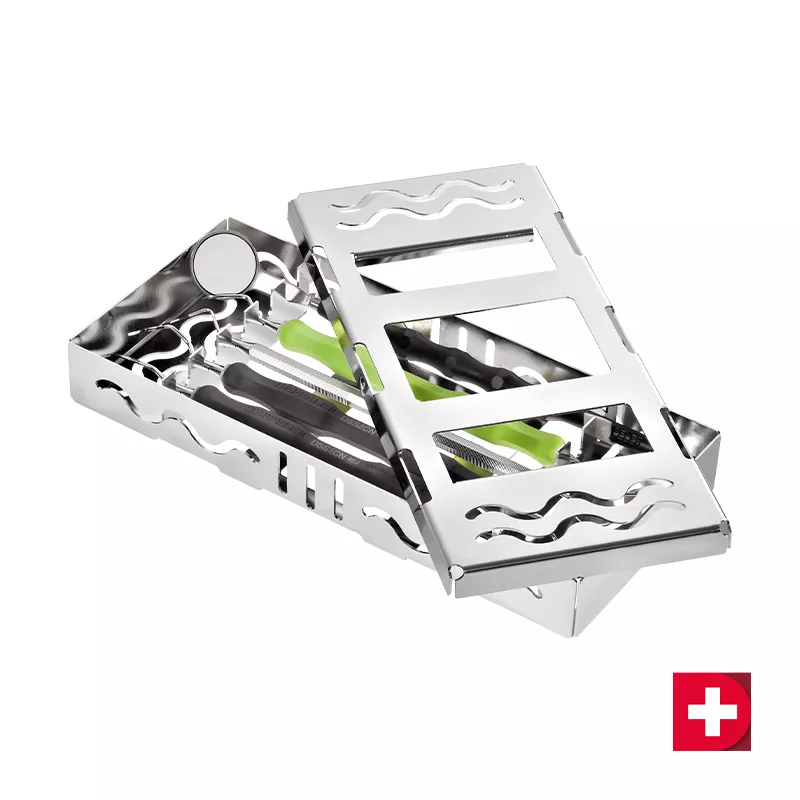 Deppeler Instrumenten Set Scaling Kit nach Daniela Krejci