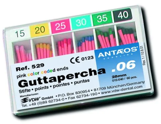 VDW Guttaperchaspitzen Nr. 529 / Taper .06