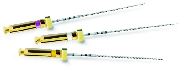 Dentsply Sirona PathFile