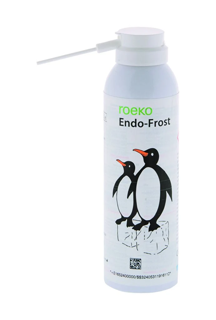 COLTENE ROEKO Endo-Frost Kältespray